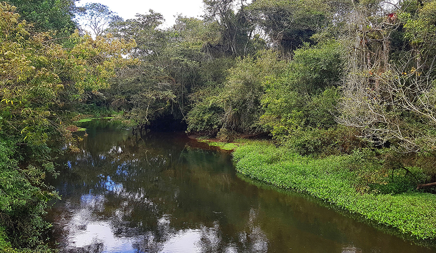 Parque Leon Feffer terá programação especial em comemoração ao Dia Mundial da Água