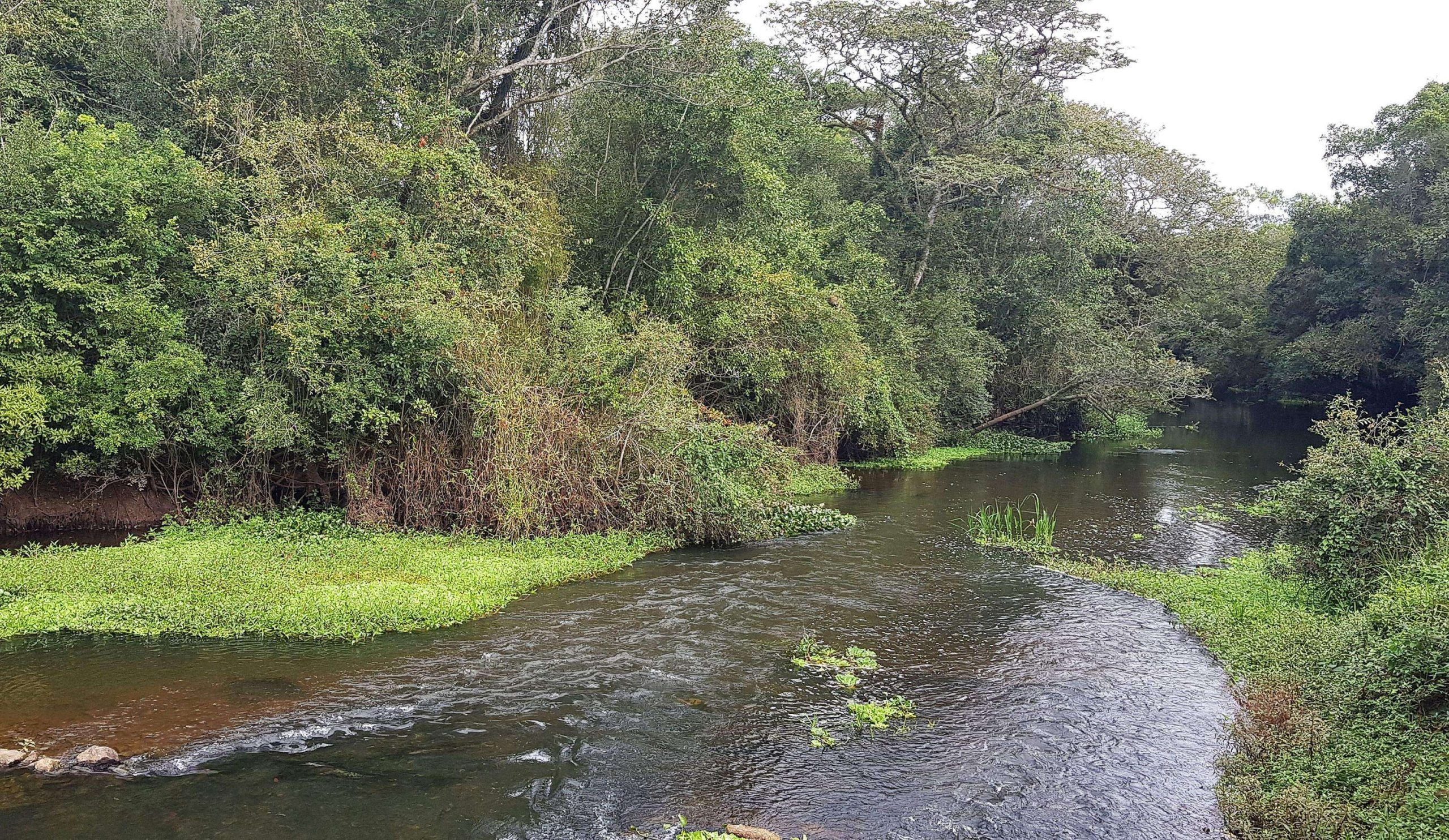 Semae Mogi das Cruzes e UMC firmam acordo de cooperação para pesquisa sobre rio Tietê